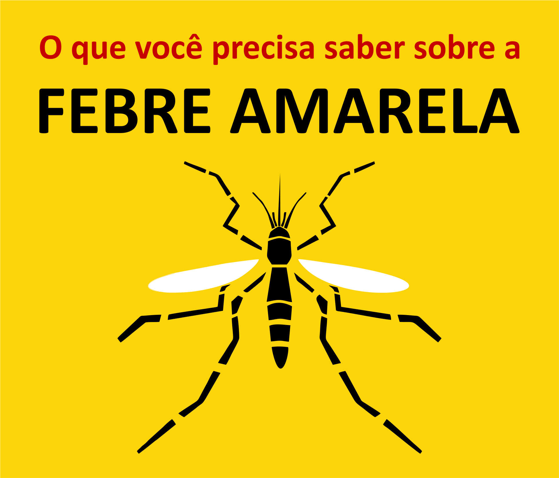 O que você precisa saber sobre a febre amarela