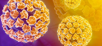 Conheça mais o HPV, o vírus que pode causar cancêr de colo