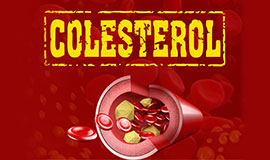 Colesterol: sintomas, tratamentos e causas.